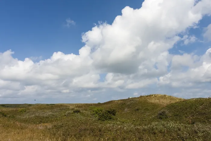 Framed Print : Landscape at Texel
