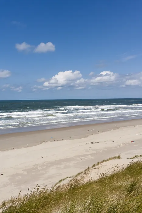 Framed Print : Landscape at Texel