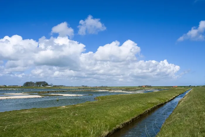 Framed Print : Landscape at Texel Framed Print : Landscape at Texel
