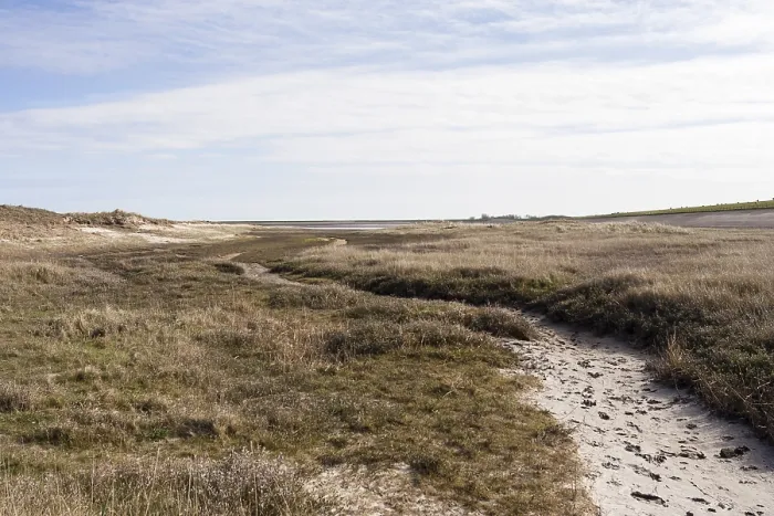 Framed Print : Landscape at Texel Framed Print : Landscape at Texel