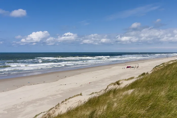 Framed Print : Landscape at Texel