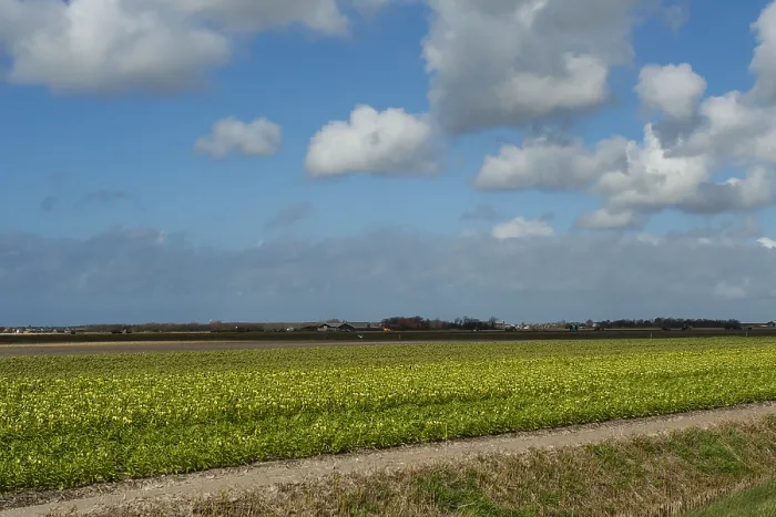 Framed Print : Landscape at Texel Framed Print : Landscape at Texel