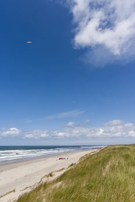 Framed Print : Landscape at Texel
