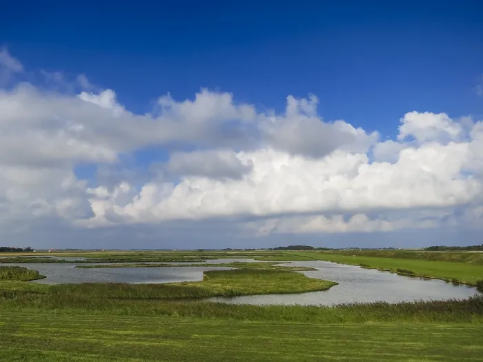 Framed Print : Landscape at Texel
