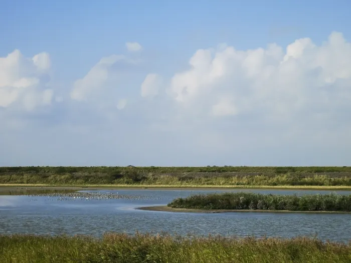 Framed Print : Landscape at Texel
