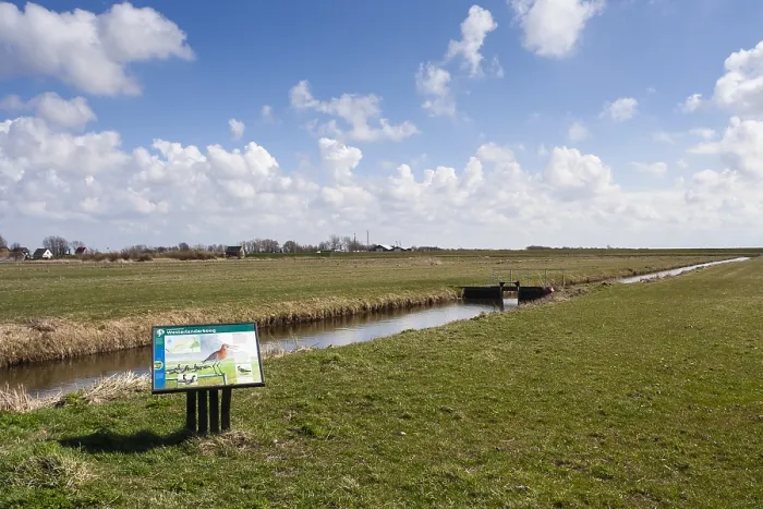 Framed Print : Landscape at the Westerlanderkoog