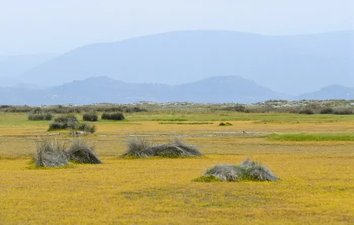 Framed Print : Lesbos. Voorjaar op Lesbos Griekenland, Spring on Lesbos Greece