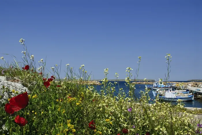Framed Print : Lesbos. Haventje van Sigri op Lesbos Griekenland, Harbour of Sigri at Lesbos Greece