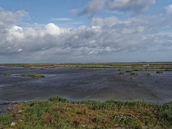 Framed Print : Markerwadden