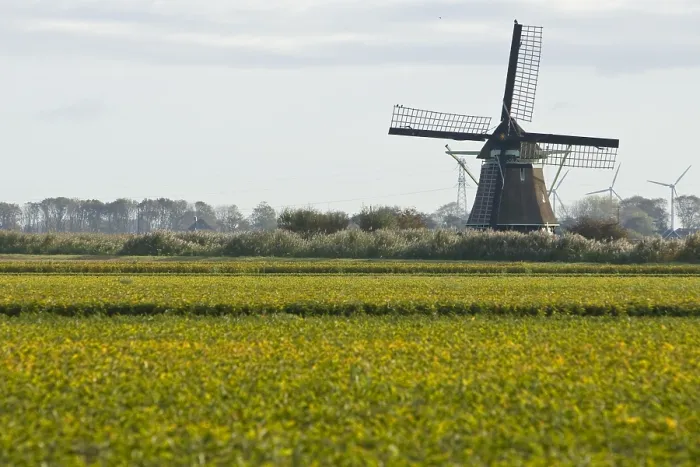 Framed Print : Molen, Mill