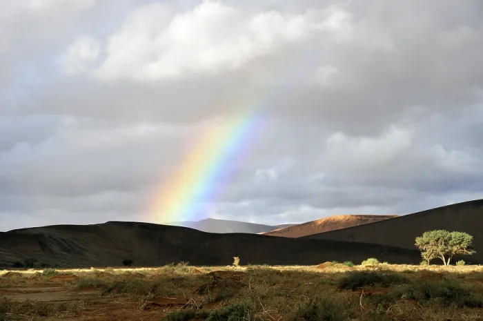Framed Print : Namibie, Namibia