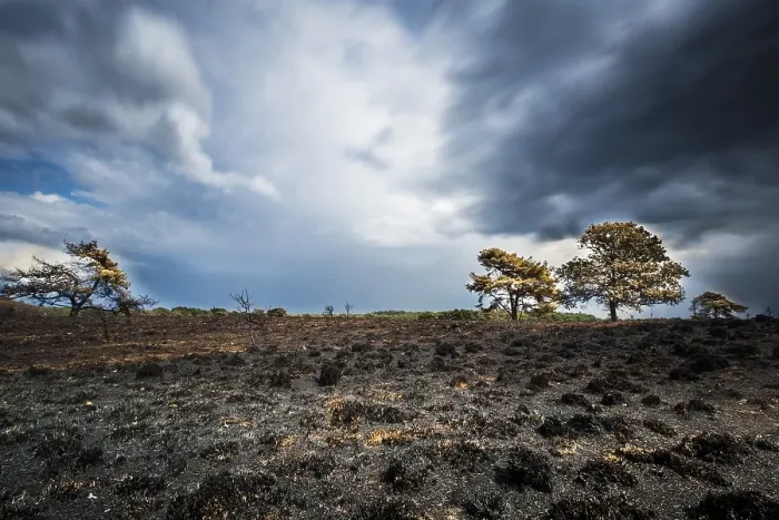 Framed Print : Nature fire