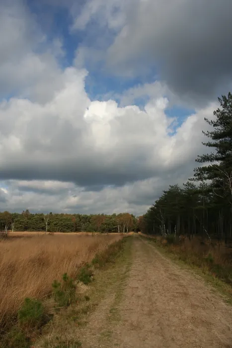 Framed Print : Neterselsche heide
