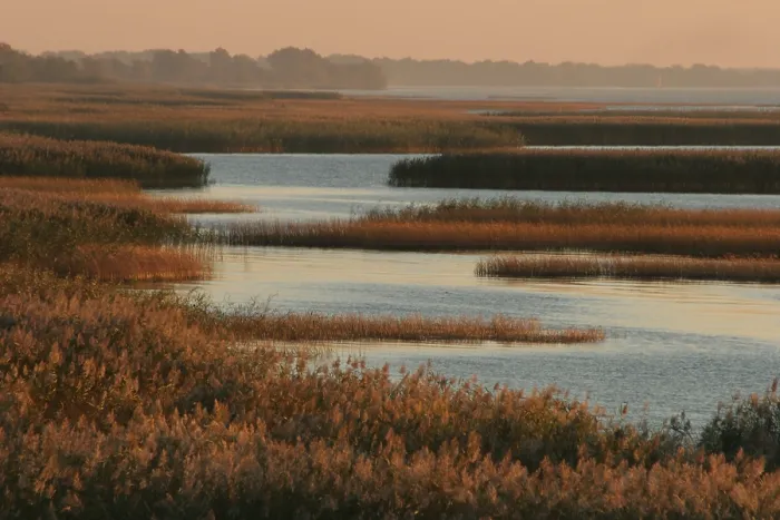 Framed Print : Oderdelta, Oderdelta