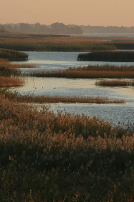 Framed Print : Oderdelta, Oderdelta