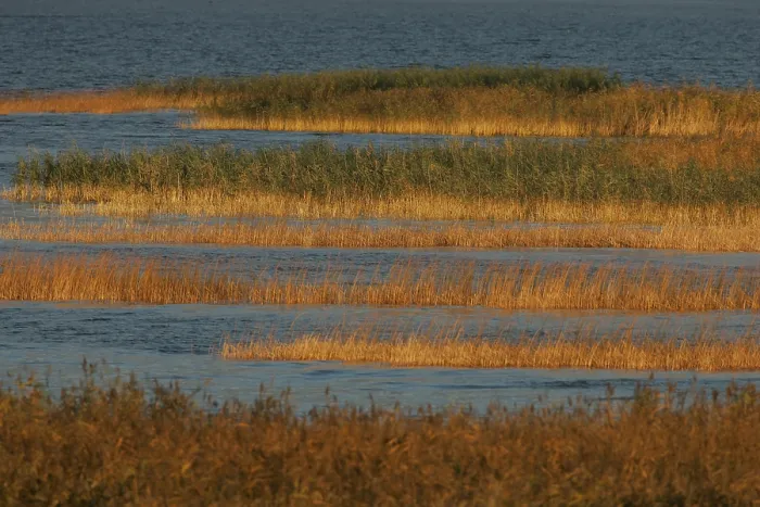 Framed Print : Oderdelta, Oderdelta