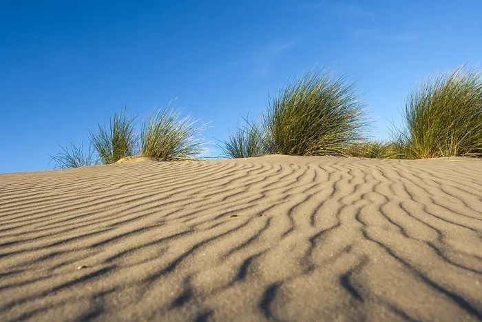 Framed Print : Patterns in sand