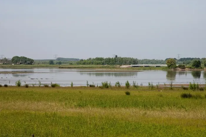 Framed Print : Polder Maltha