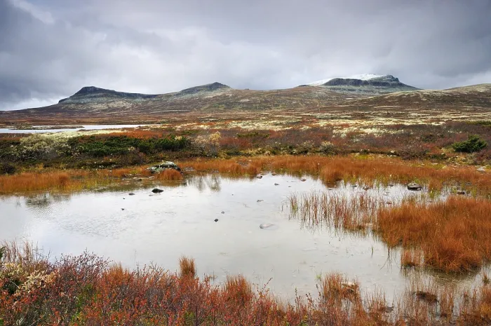 Framed Print : Rondane