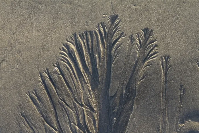 Framed Print : Sand background texture Framed Print : Sand background texture