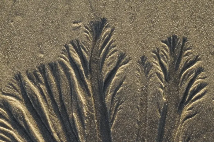 Framed Print : Sand background texture