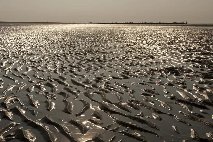 Framed Print : Strand, Beach