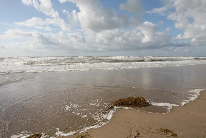 Framed Print : Strand, Beach