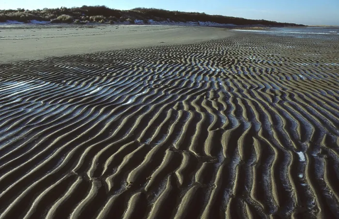 Framed Print : Strand, Beach Framed Print : Strand, Beach