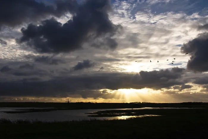 Framed Print : Texel, Texel