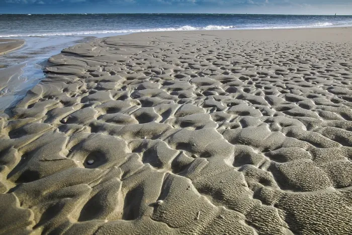 Framed Print : Texel, Waddensea, The Netherlands