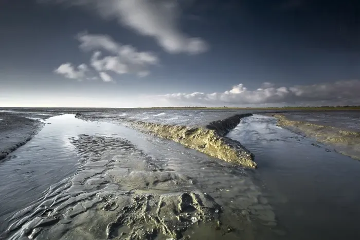 Framed Print : Tide changes at Schiermonikoog