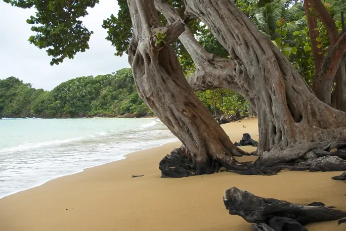 Framed Print : Tobago. Batteaux Bay, Tobago