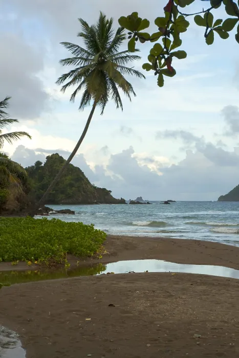 Framed Print : Tobago. Batteaux Bay and view on Little Tobago Framed Print : Tobago. Batteaux Bay and view on Little Tobago