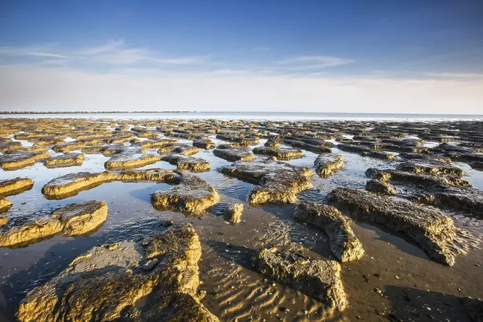Framed Print : Waddensea. Sandbars at the Waddensea