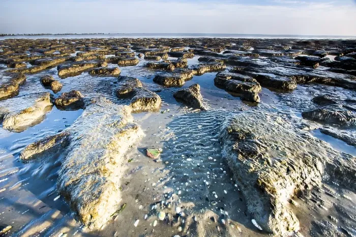 Framed Print : Waddensea. Sandbars at the Waddensea