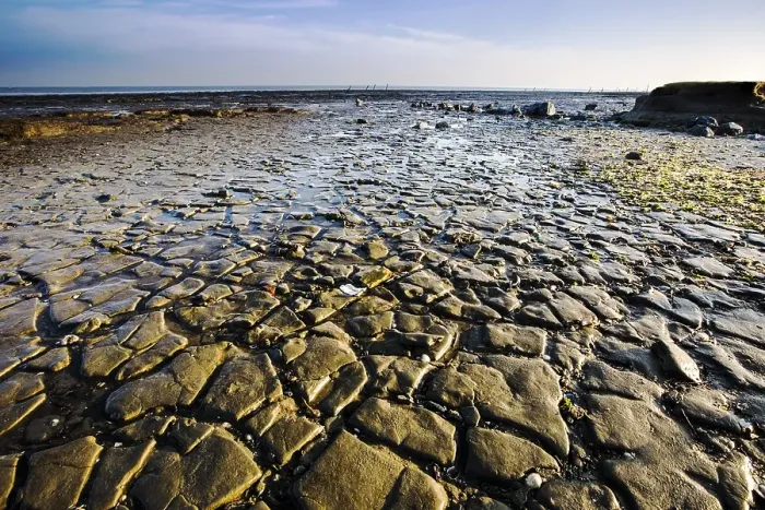 Framed Print : Waddensea. Sandbars at the Waddensea