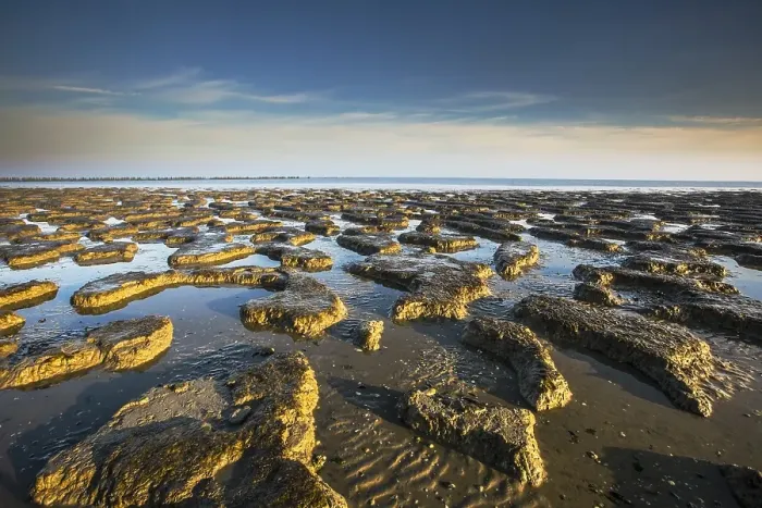 Framed Print : Waddensea. Sandbars at the Waddensea