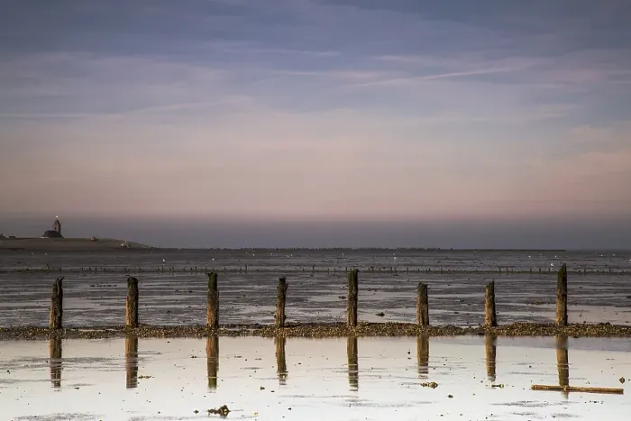 Framed Print : Waddensea