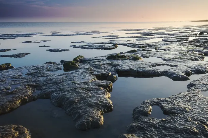 Framed Print : Waddensea. Sandbars at the Waddensea