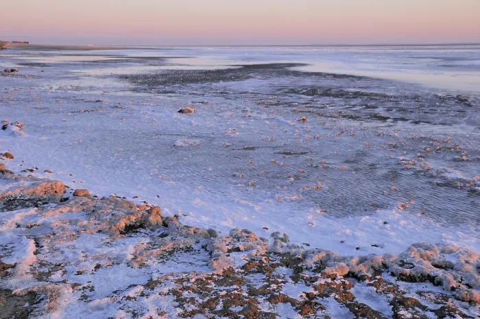 Framed Print : Waddenzee