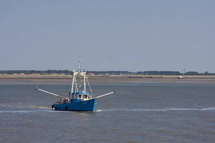 Framed Print : Waddenzee, Schiermonnikoog
