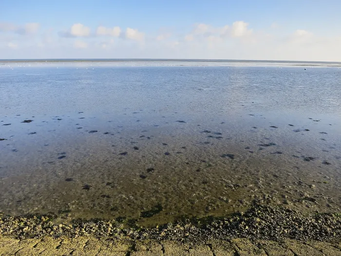 Framed Print : Waddenzee, Wadden Sea