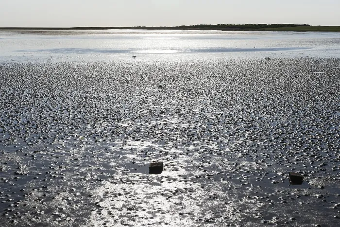 Framed Print : Waddenzee, Wadden Sea