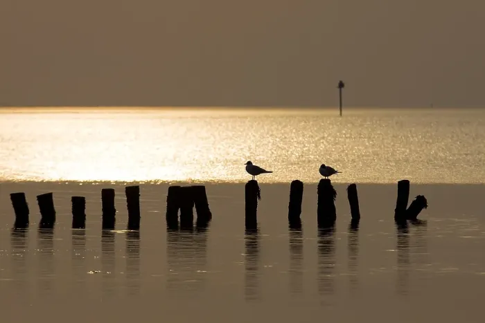 Framed Print : Waddenzee, Waddensea