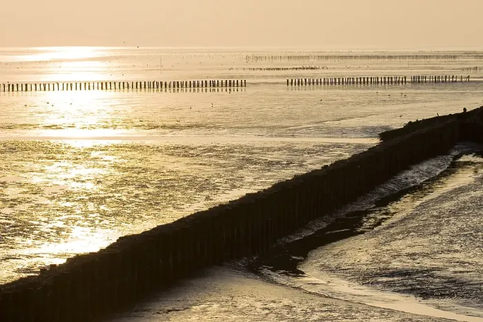 Framed Print : Waddenzee, Waddensea