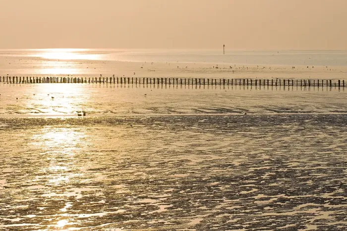 Framed Print : Waddenzee, Waddensea
