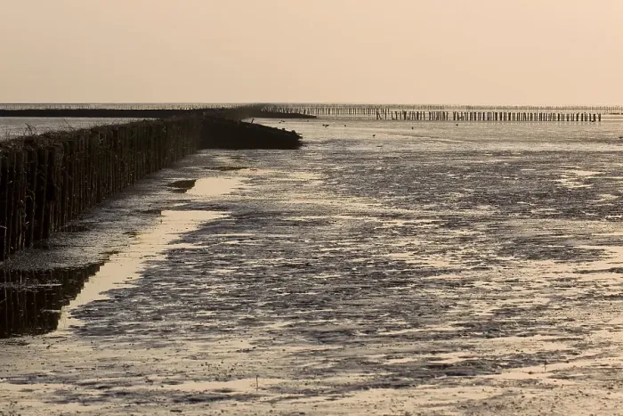 Framed Print : Waddenzee, Waddensea
