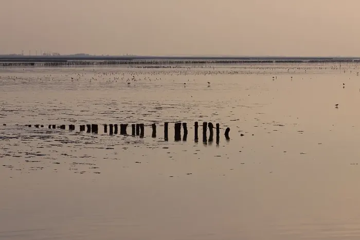 Framed Print : Waddenzee, Waddensea