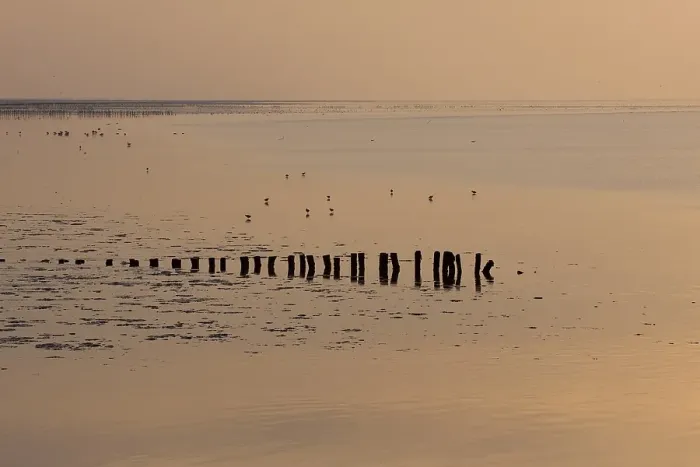 Framed Print : Waddenzee, Waddensea