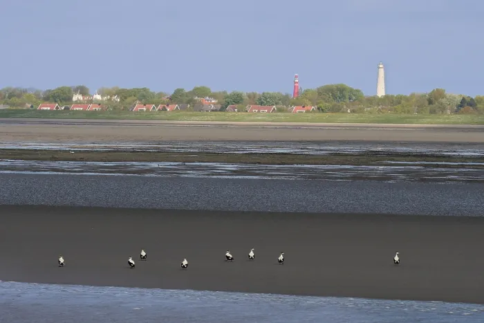 Framed Print : Waddenzee, Waddensea